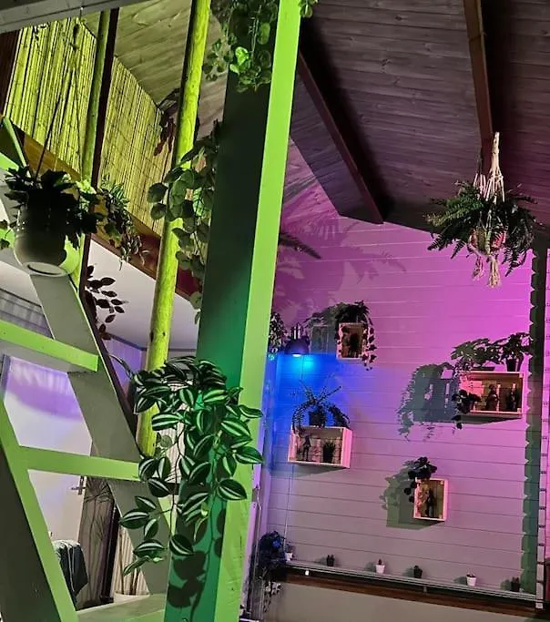 Jungle Style Lodge With Jacuzzi ,Sauna And Garden Near Amsterdam Vijfhuizen 0*,  Netherlands